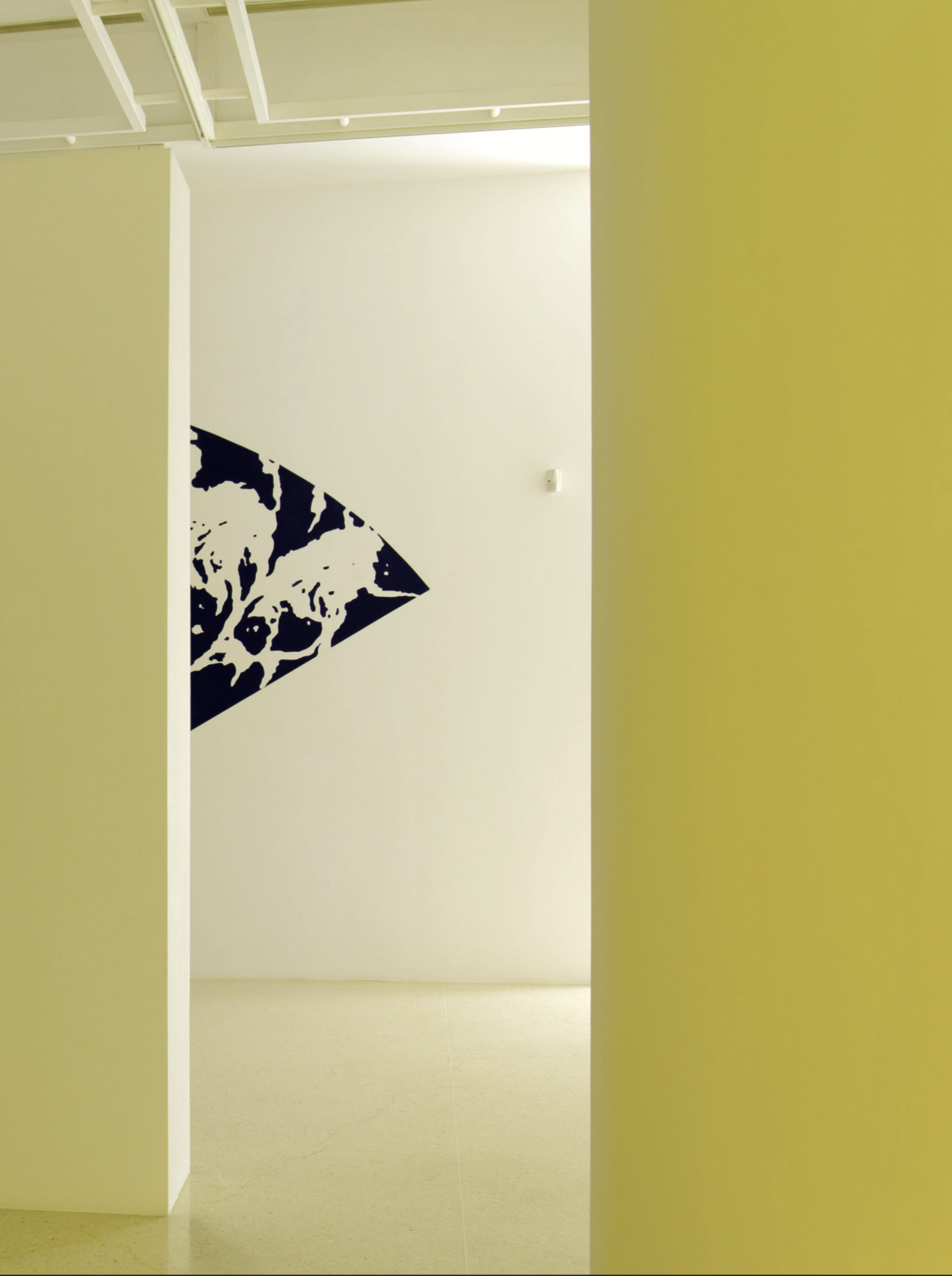 Retrotransformación y otros métodos de percepción. Alfred Wenemoser. Colección Mercantil